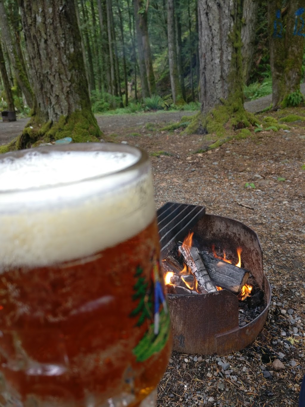 Bear Creek Campground | Unnamed Rd, Fraser Valley C, BC V0M 1K0, Canada | Phone: (604) 701-8657