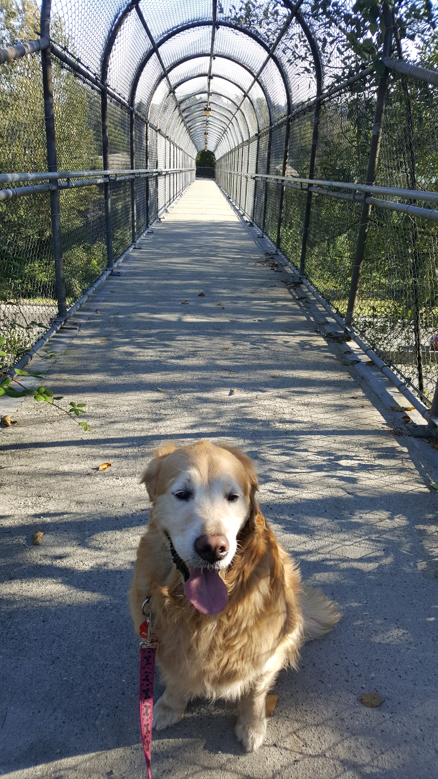 Poco Trail Head | Traboulay PoCo Trail, Port Coquitlam, BC V3C 1R9, Canada
