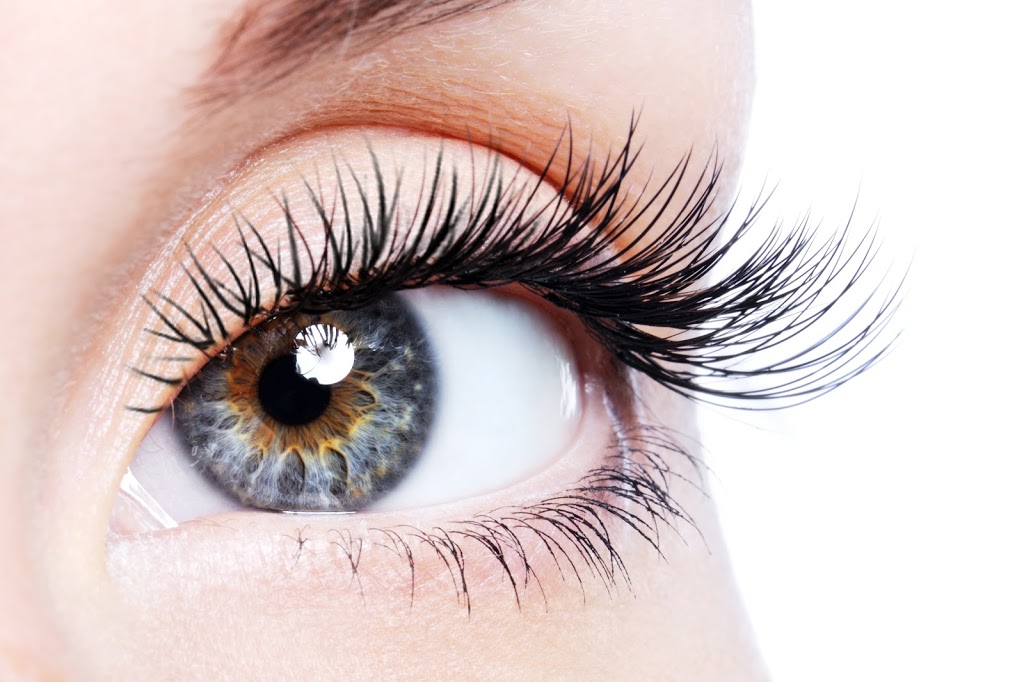Sugar n Spice Studio | 7155 Temple Dr NE, Calgary, AB T1Y 4Z4, Canada | Phone: (403) 815-8577