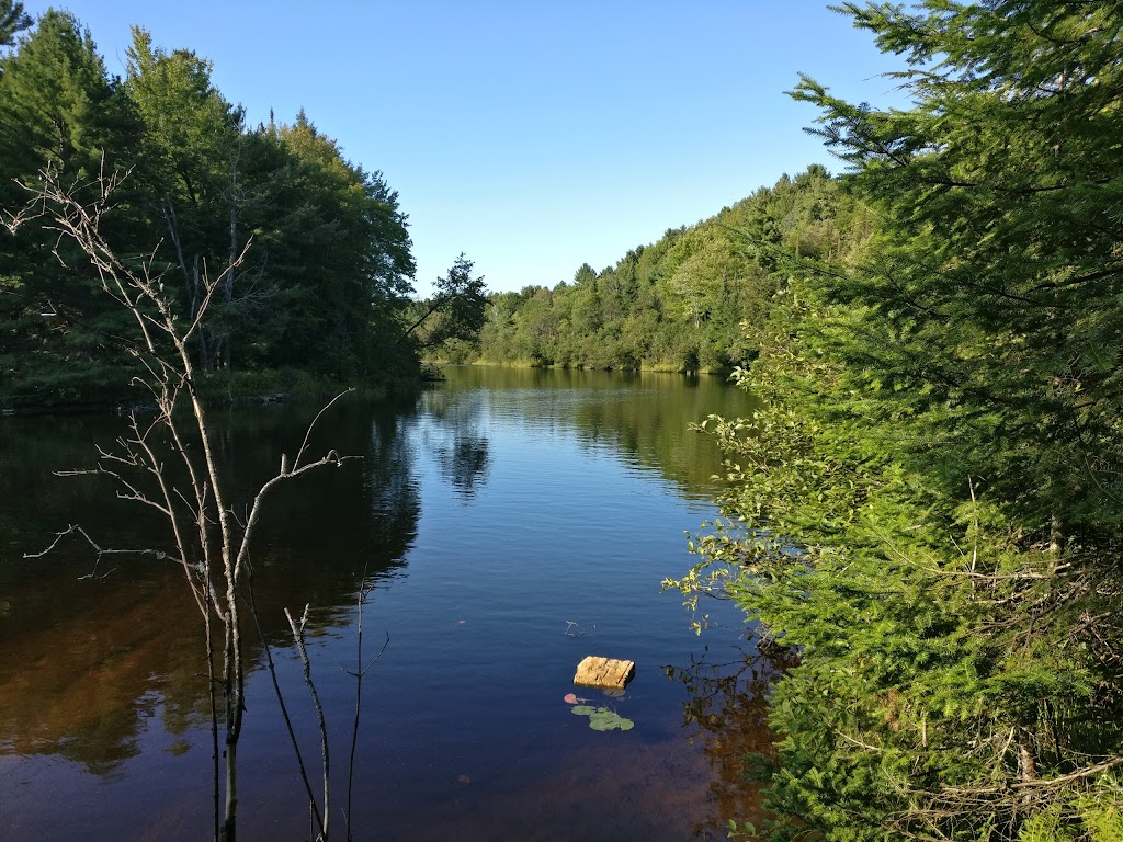 South Muskoka Curling and Golf Club | 10 Golf Course Rd, Bracebridge, ON P1L 1M6, Canada | Phone: (705) 645-4221