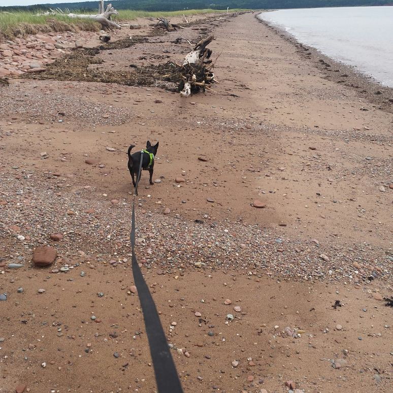 Waterside Beach - UNESCO Fundy Biosphere Reserve | Canada, NB-915, Waterside, NB, Canada | Phone: (506) 874-3272