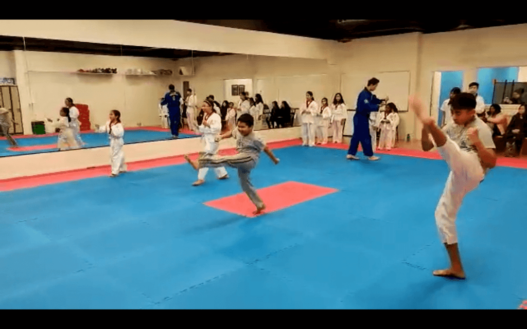 Wu-Yi Taekwondo Academy | 15942 96 Ave, Surrey, BC V4N 1G4, Canada | Phone: (236) 518-5641