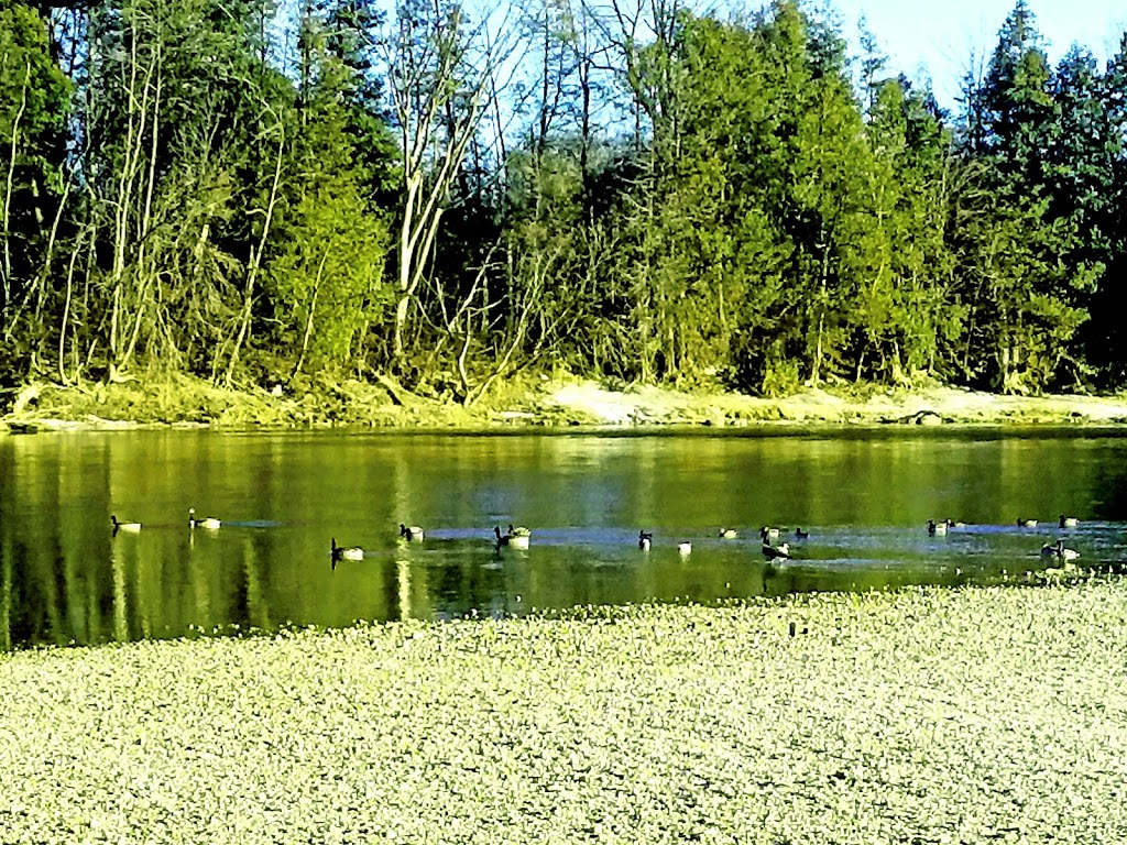 Kolb Park | Grand River North, Kitchener, ON N2B, Canada
