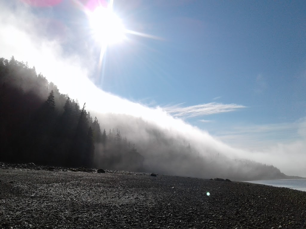 FORCE: Fundy Ocean Research Center for Energy | 1156 W Bay Rd, Parrsboro, NS B0M 1S0, Canada | Phone: (902) 254-2510