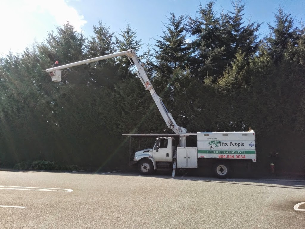 Tree People Ltd. | 1262 River Dr, Coquitlam, BC V3E 1Z7, Canada | Phone: (604) 834-8733
