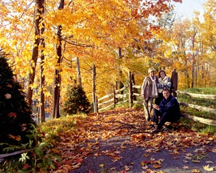 Bertin Belanger Maitre Photo | 1925 Chem. Hemming, Drummondville, QC J2B 8Y7, Canada | Phone: (819) 475-7575