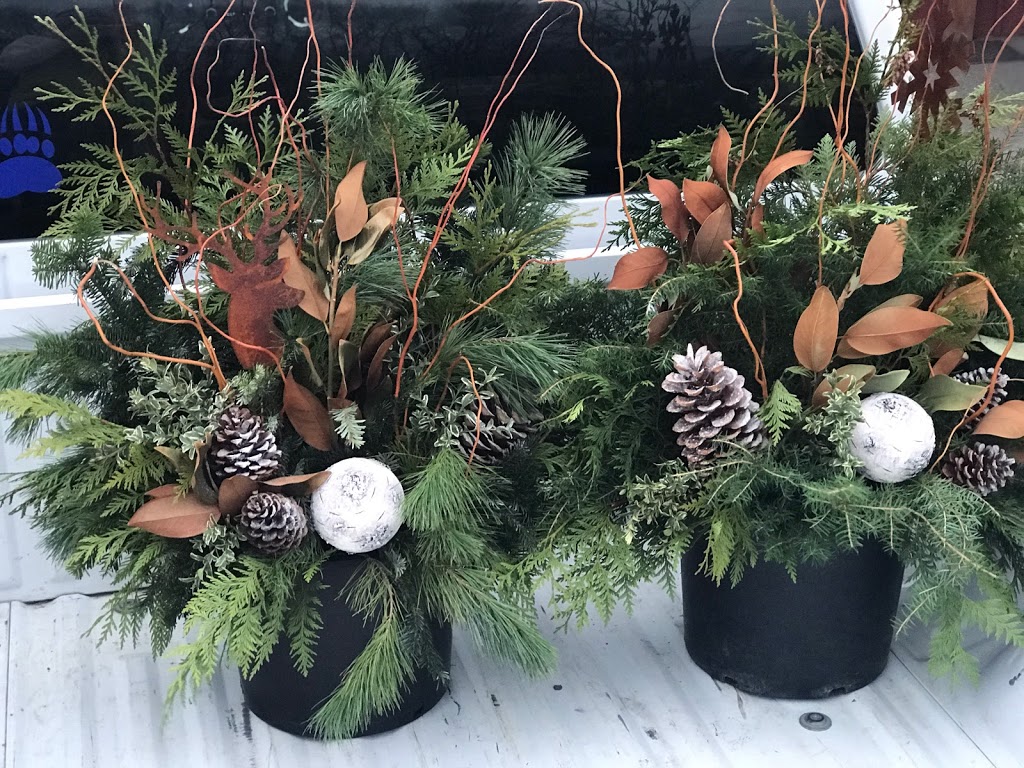 Better Earth Gardens & Tropicals | 1629 K. L. O. Rd, Kelowna, BC V1W 3P3, Canada | Phone: (250) 861-1881