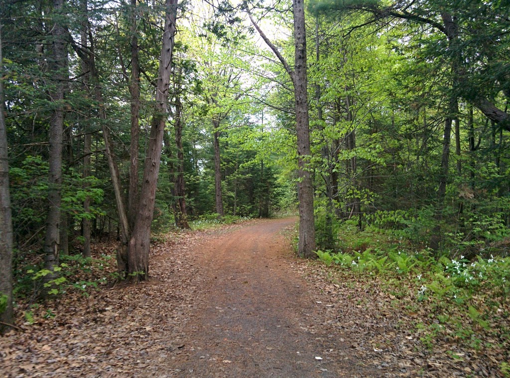 Parc national de Plaisance | 1001 Chemin de la Grande Presquîle, Plaisance, QC J0V 1S0, Canada | Phone: (800) 665-6527