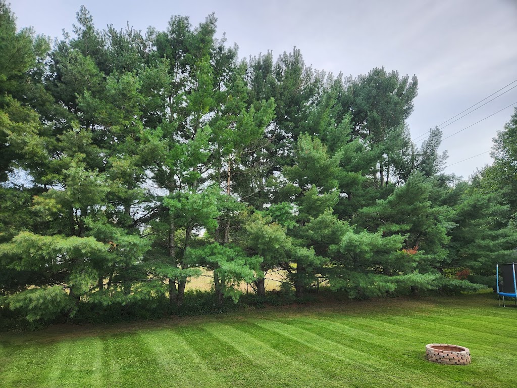 Wilson Lawn & Property Services Ltd. | 6 Poulsom Rd, Fenelon Falls, ON K0M 1N0, Canada | Phone: (705) 879-6172