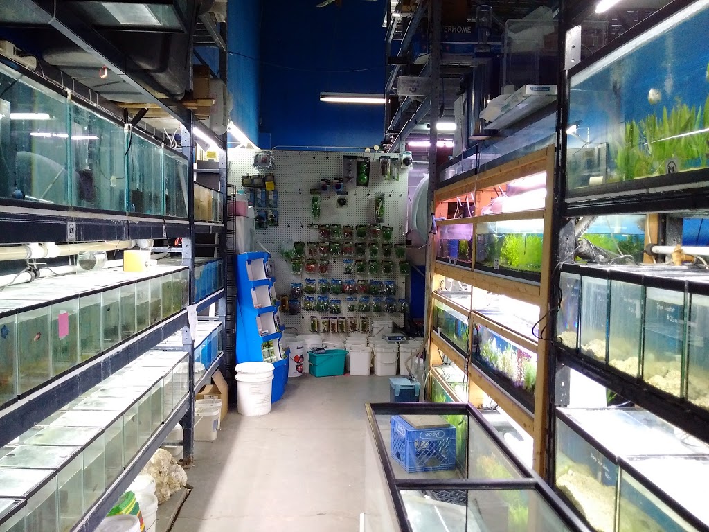 Aquapets | 680 Silver Star Blvd, Scarborough, ON M1V 5N1, Canada | Phone: (416) 292-1688