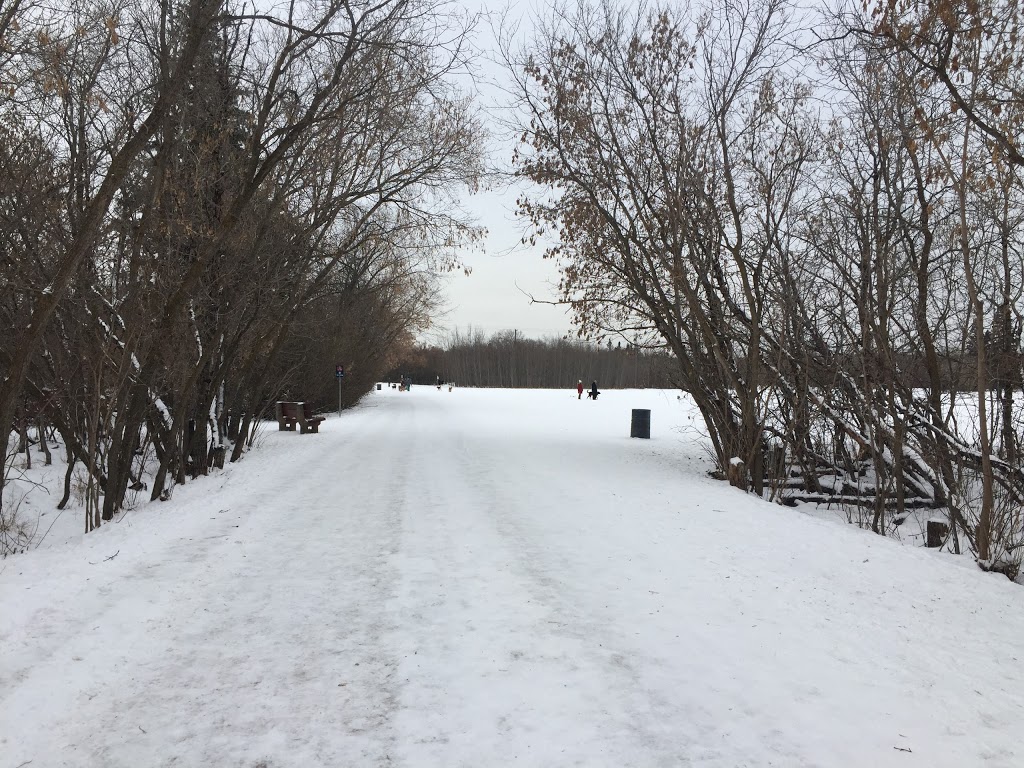 Buena Vista Dog Park | 7821-7823 131 St NW, Edmonton, AB T5R 3N3, Canada