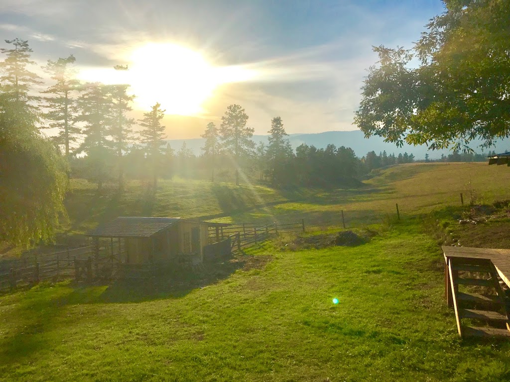 SPACE OF YOGA | 1803 Pleasant Valley Rd, Armstrong, BC V0E 1B2, Canada | Phone: (250) 938-3409