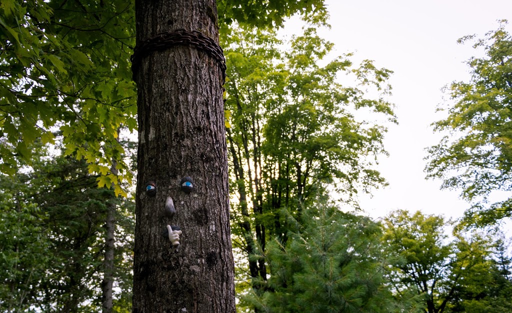 Camping Villette | 94 Chemin du Milieu, Saint-Herménégilde, QC J0B 2W0, Canada | Phone: (819) 849-6273