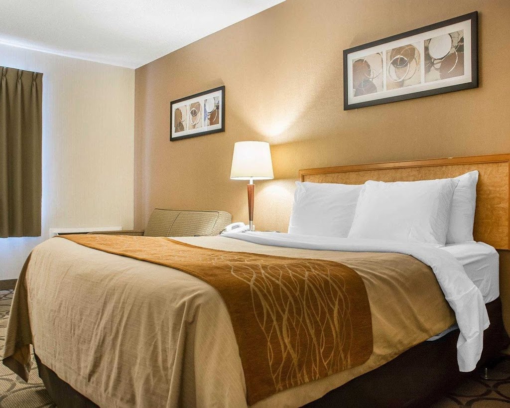 Comfort Inn | 183 Centennial Pkwy N, Hamilton, ON L8E 1H8, Canada | Phone: (905) 560-4500