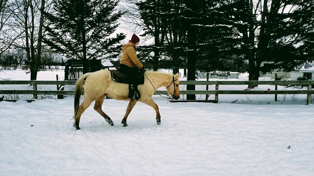 Centré-Questre Tandem | 68 QC-143, Hatley, QC J0B 2C0, Canada | Phone: (819) 919-2219