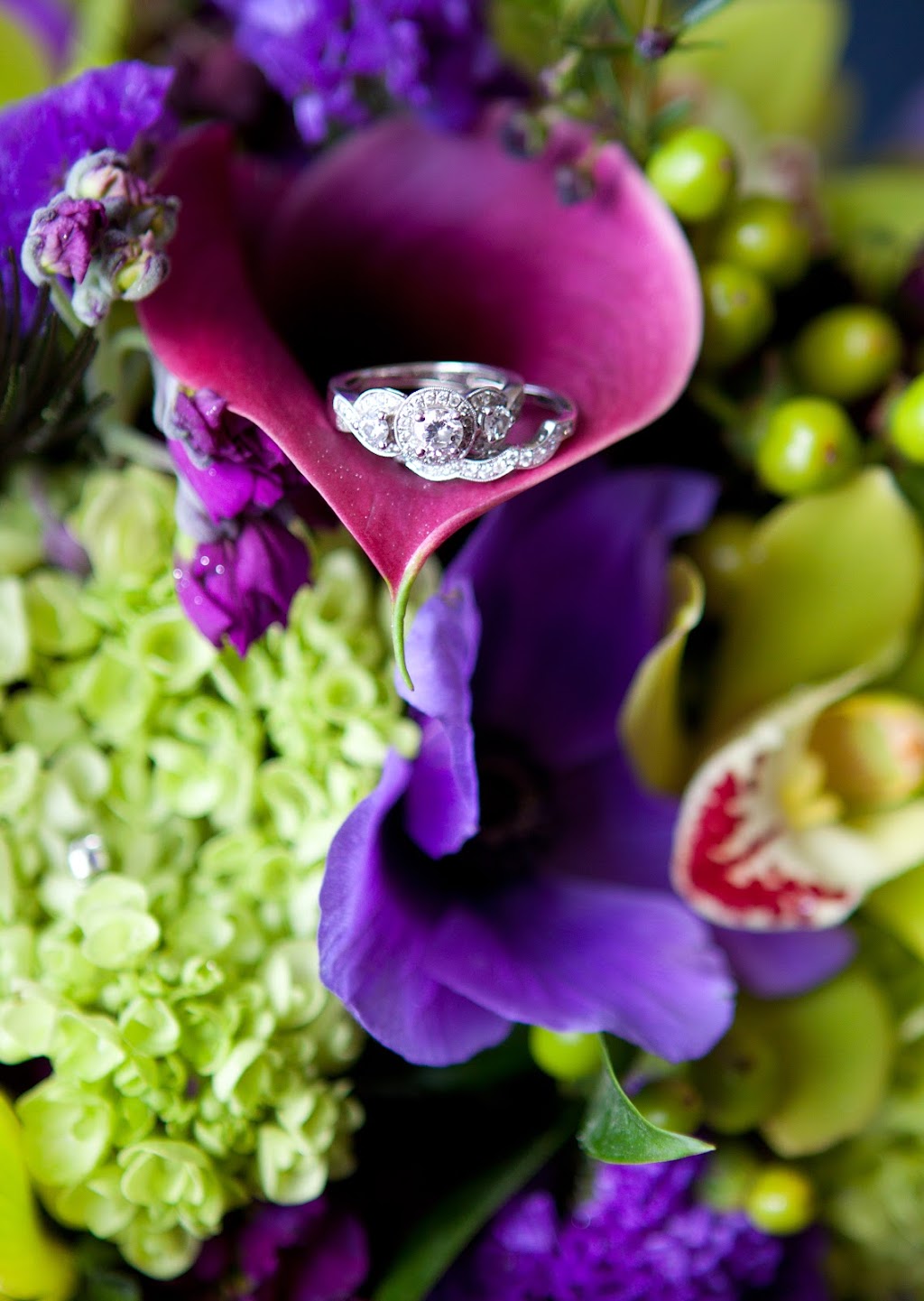 Aggie Clarke Photography | 1161 Hays Dr NW, Edmonton, AB T6M 0M2, Canada | Phone: (780) 850-5093