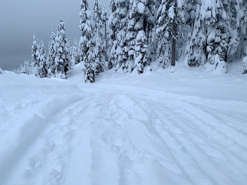 Green Chair Lift - Sasquatch Mtn. Resort | 20955 Hemlock Valley Rd, Agassiz, BC V0M 1A1, Canada | Phone: (604) 797-4411