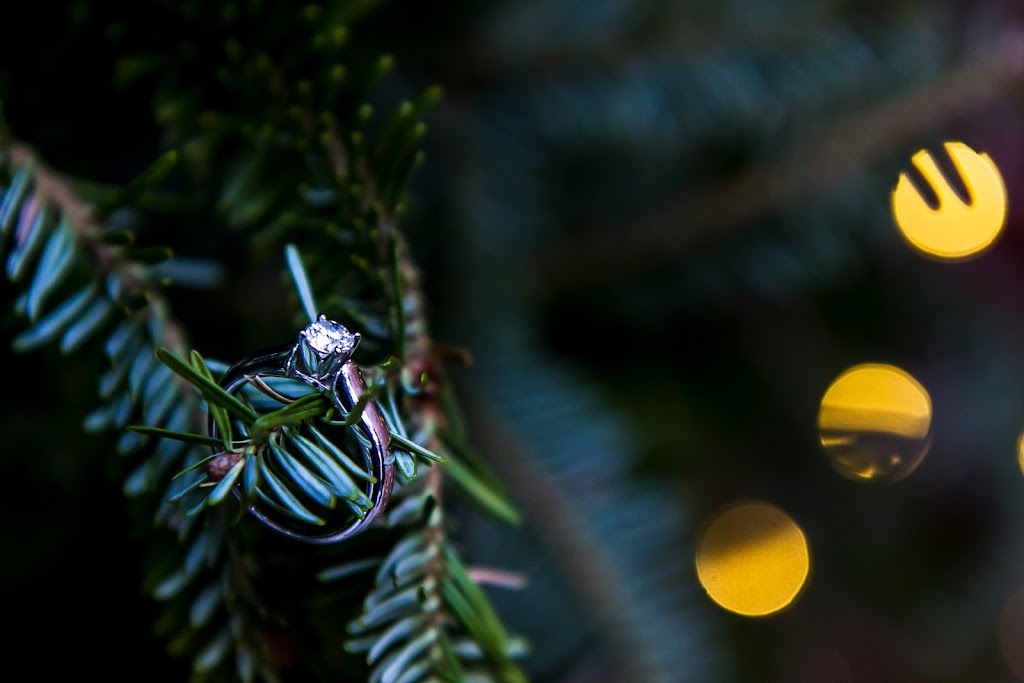 MJ Photographics | Inglis St, Halifax, NS B3H 1J6, Canada | Phone: (902) 402-8922