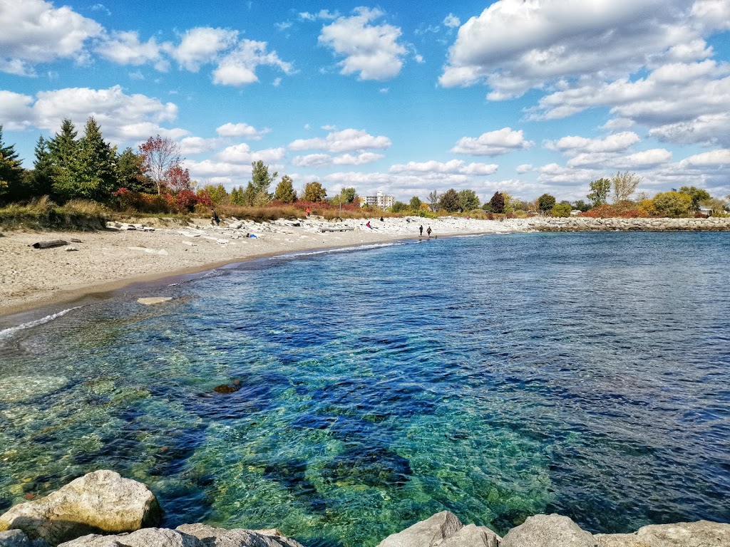 Lakeshore Yacht Club | 76 Colonel Samuel Smith Park Dr, Etobicoke, ON M8V 4B7, Canada | Phone: (416) 255-3701