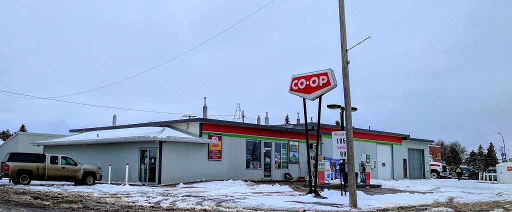 Prairie Co-op Food Store - Lipton | 1017 Railway Ave, Lipton, SK S0G 3B0, Canada | Phone: (306) 336-2333
