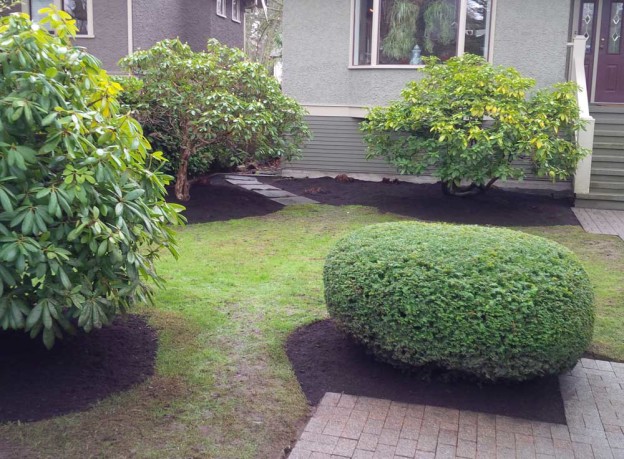 Tyson Landscaping | 34752 Mierau St, Abbotsford, BC V2S 5Y4, Canada | Phone: (778) 779-3966