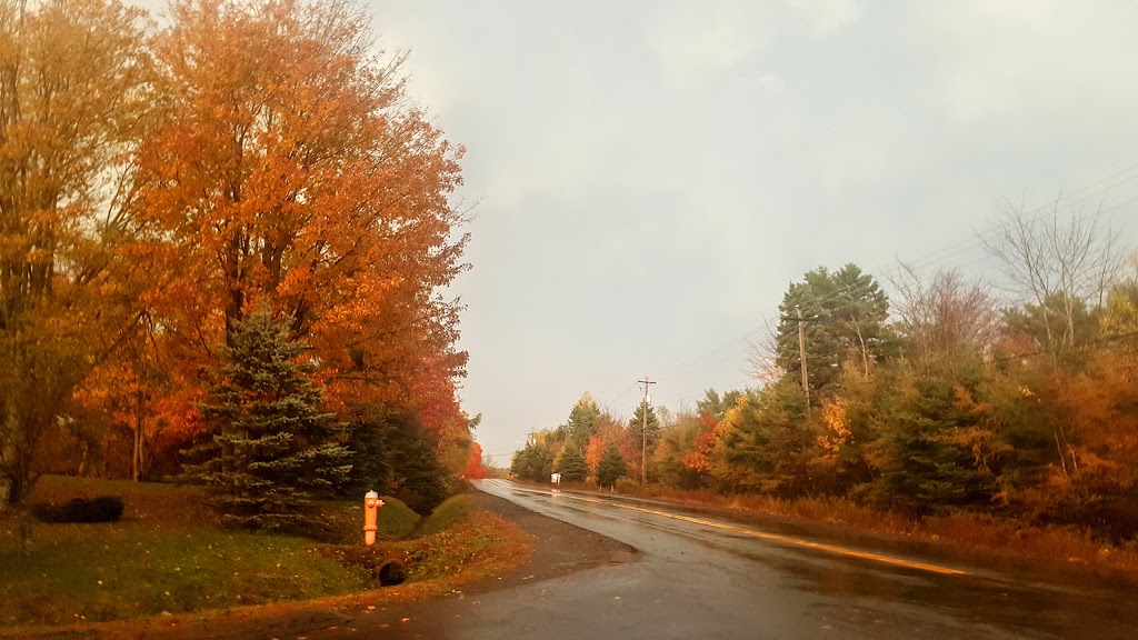 Lost Art Stonework | 34 Charleswood Dr, Windsor Junction, NS B2T 1G3, Canada | Phone: (902) 220-5447