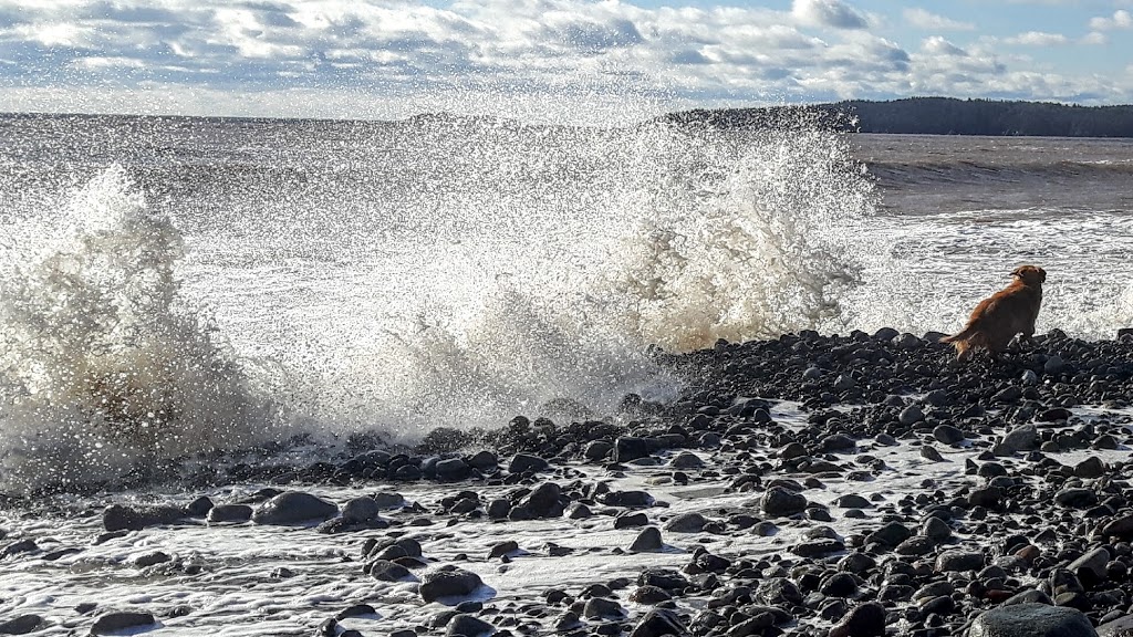 Bay Shore Beach | 599 Sea St, Saint John, NB E2M 2N5, Canada | Phone: (506) 633-9588