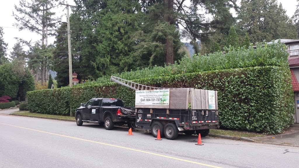 Aesthetic Tree & Hedge Services Brittania | 802 Britannia Way, Britannia Beach, BC V0N 1J0, Canada | Phone: (604) 716-7377