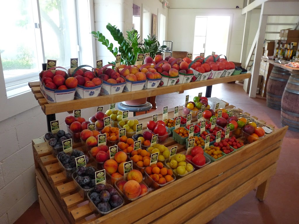 Whitty Farms | 1776 Fourth Ave, St. Catharines, ON L2R 6P9, Canada | Phone: (905) 984-8444