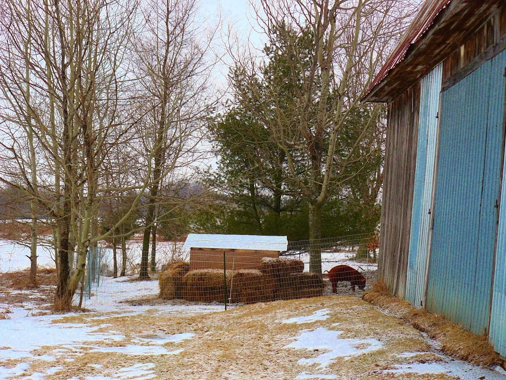 Fromagerie Cornes et Sabots | 641 Rang de lAnge Gardien, Notre-Dame-de-Stanbridge, QC J0J 1M0, Canada | Phone: (438) 494-8831