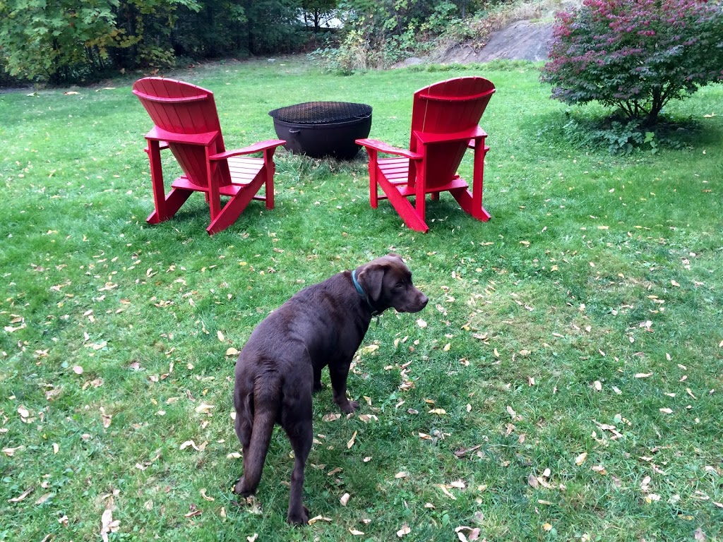 Amberwood on the River B & B | 2980 Riverbend Rd, Nanaimo, BC V9X 1S7, Canada | Phone: (250) 616-8457