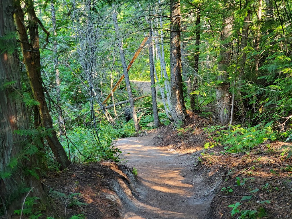 Fairy Creek Falls | 102 Commerce Rd, Fernie, BC V0B 1M5, Canada | Phone: (250) 423-6868