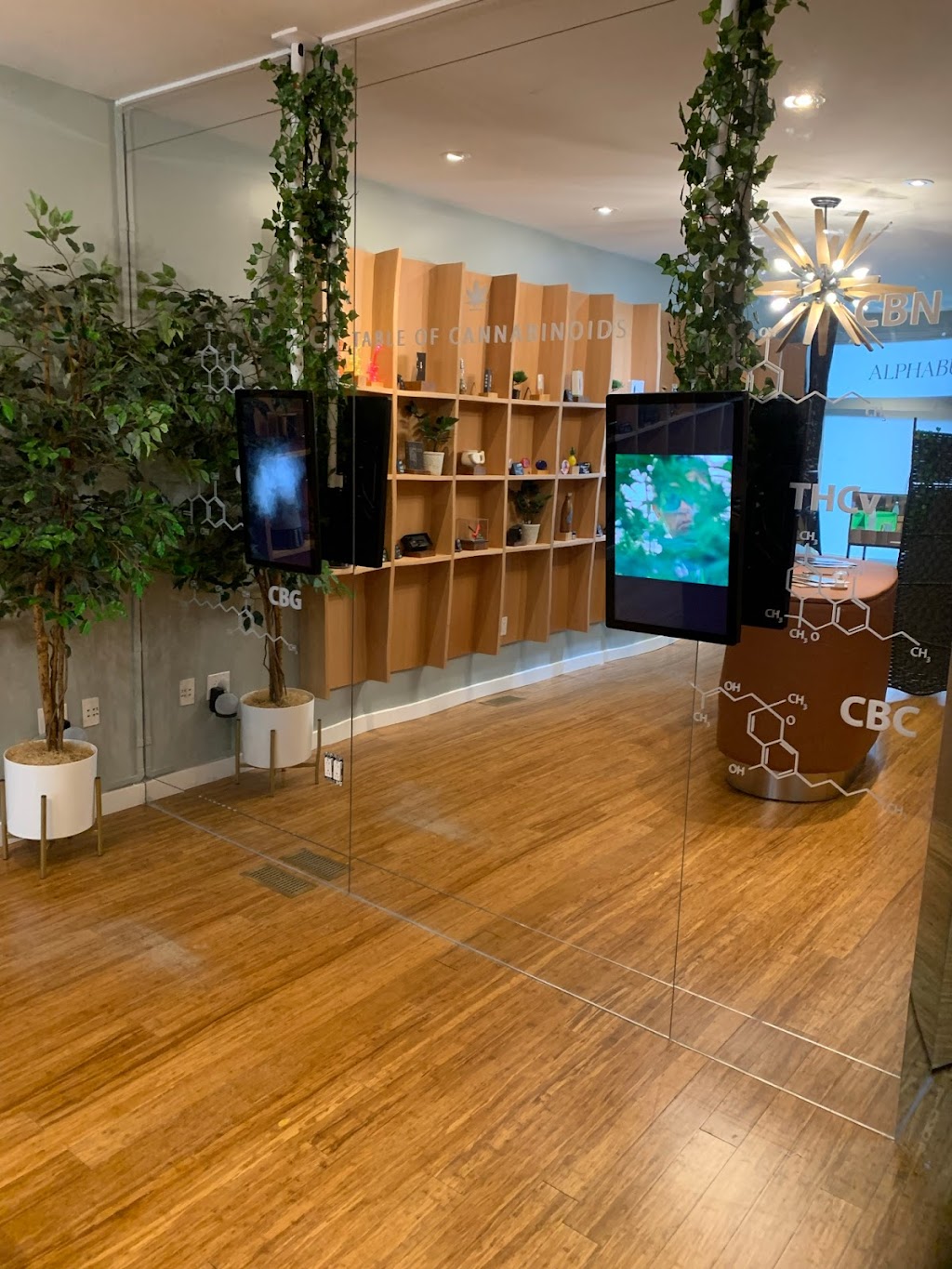 AlphaBud Cannabis (ABC co) | 1186a Woodbine Ave, East York, ON M4C 4E2, Canada | Phone: (647) 343-2837