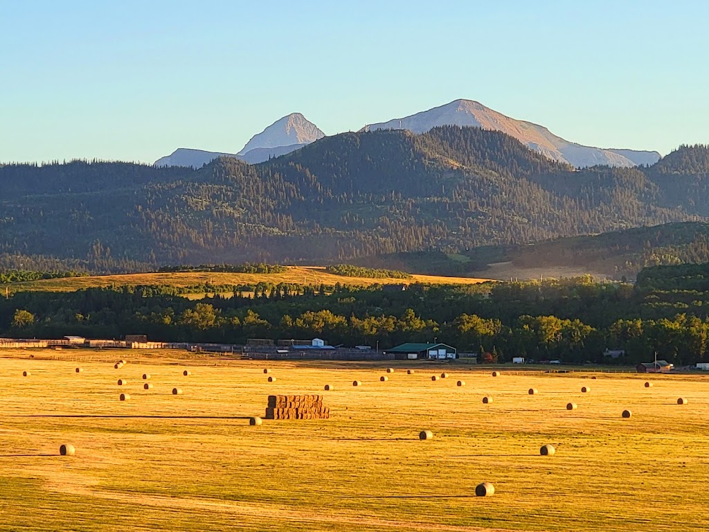 Pincher Creek Golf Club | 942 Hyde St, Pincher Creek, AB T0K 1W0, Canada | Phone: (403) 627-2126