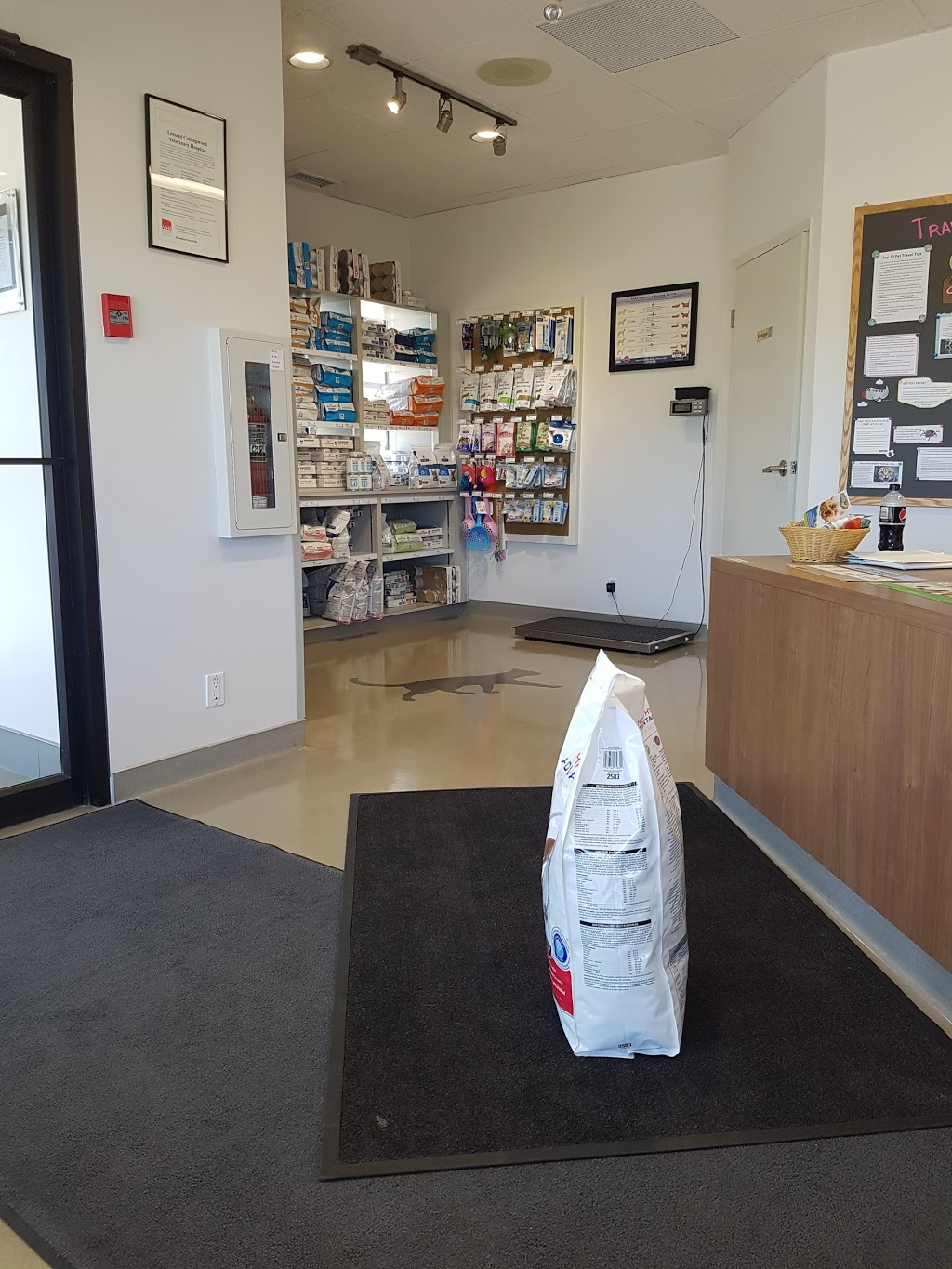 Lessard - Callingwood Veterinary Hospital Ltd | 7514 178 St NW, Edmonton, AB T5T 2Y5, Canada | Phone: (780) 481-5678