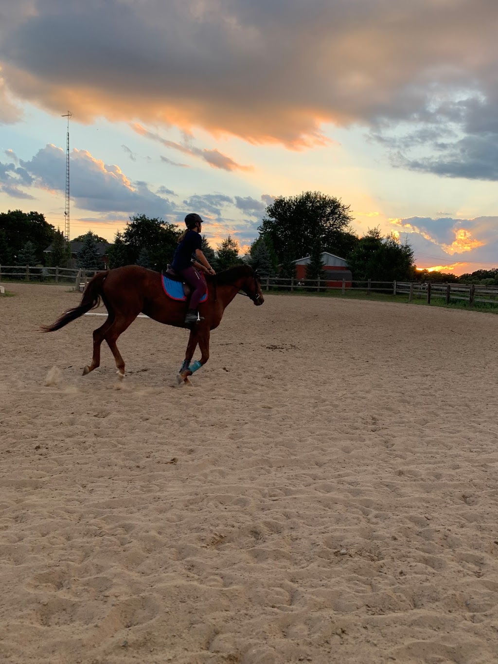 Hse Stables | 44135 Sparta Line, St Thomas, ON N5P 3S8, Canada | Phone: (519) 633-1054