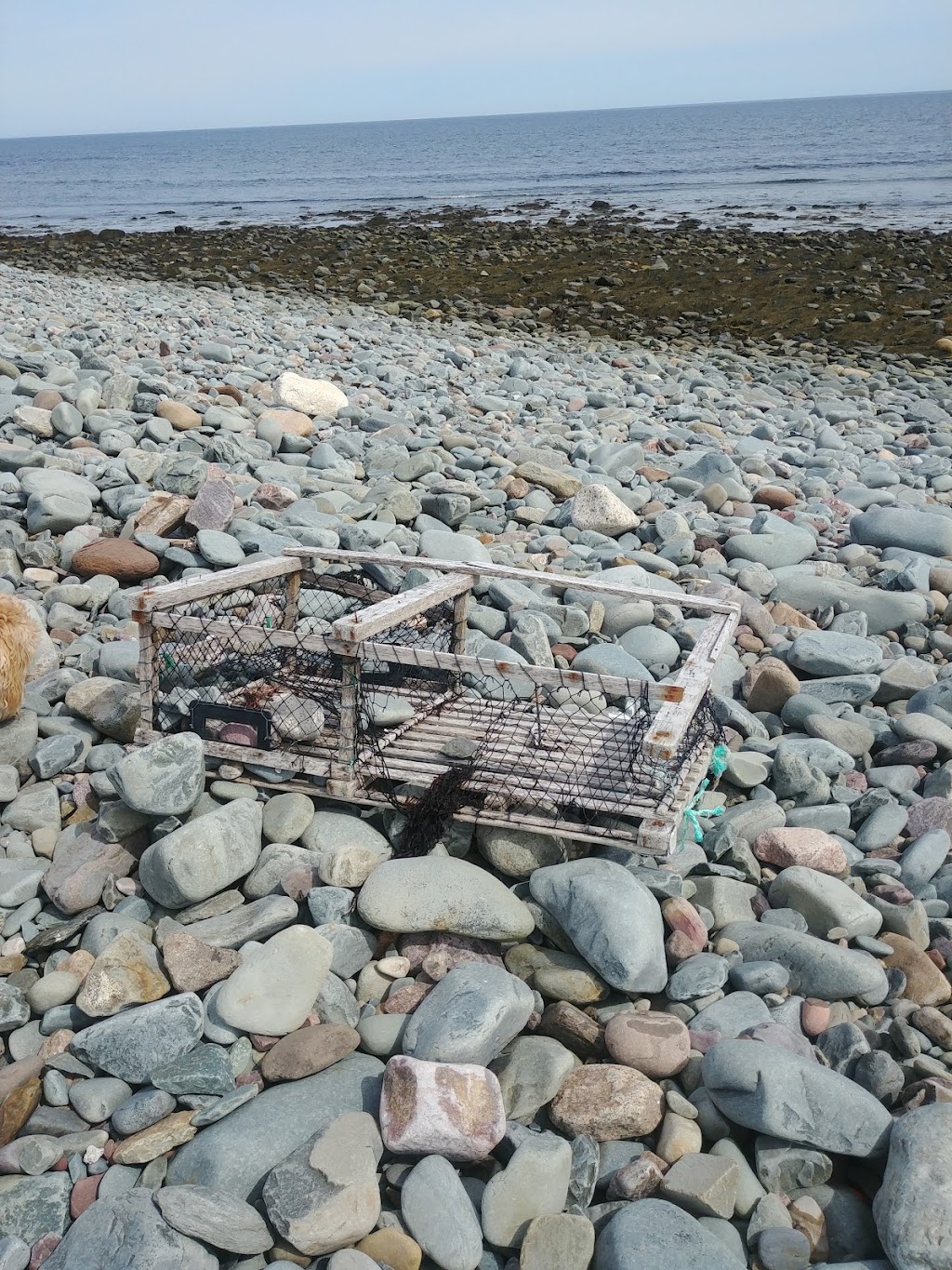 Hartlen Point Forces Golf Club | 2400 Shore Rd, Shearwater, NS B0J 3A0, Canada | Phone: (902) 465-4653