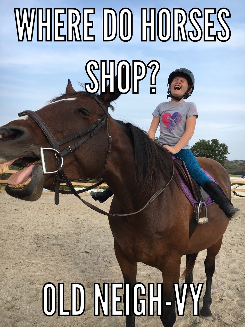 Talisman Equestrian | 4560 Hwy 7, Omemee, ON K0L 2W0, Canada | Phone: (705) 799-2581