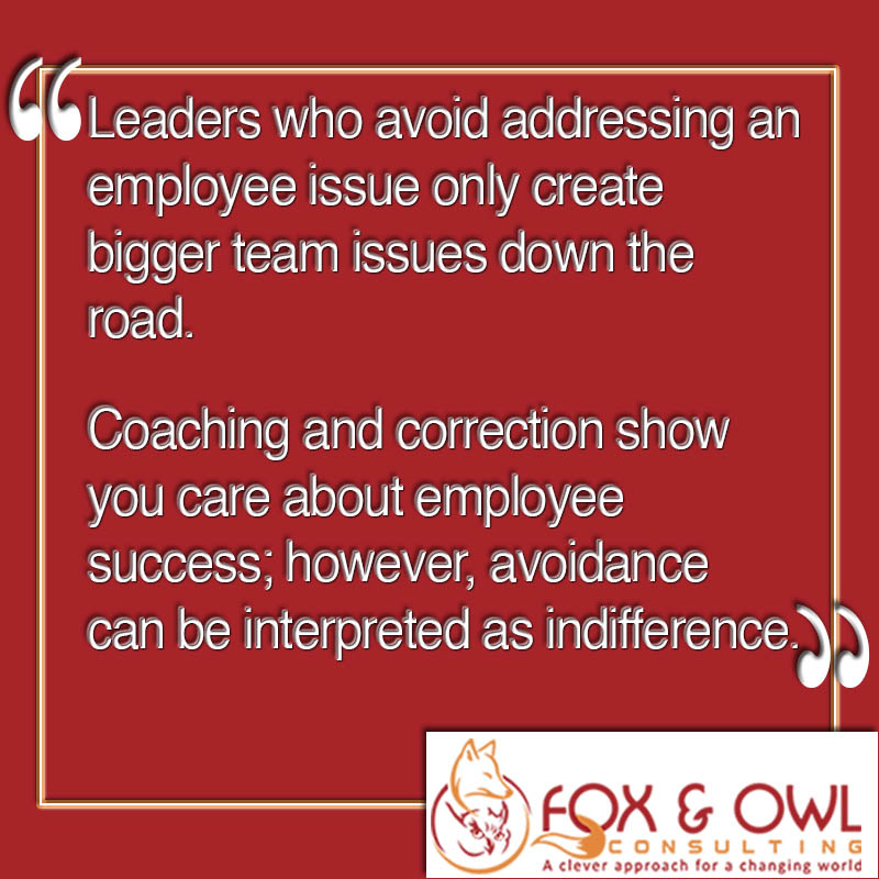 Fox & Owl Consulting Services | 1943 Kelsie Rd, Nanaimo, BC V9X 1B7, Canada | Phone: (250) 619-3001