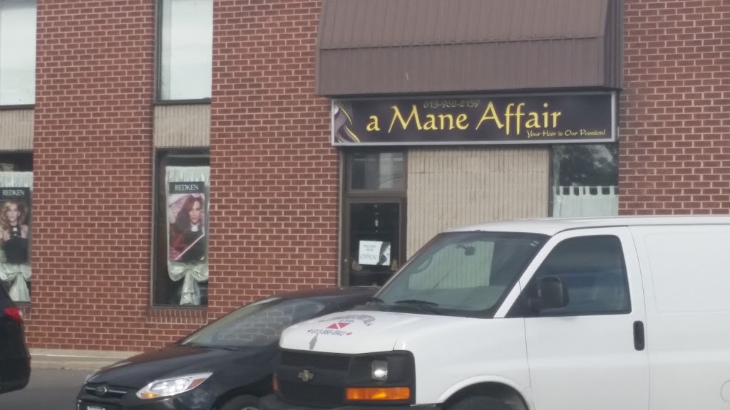 A Mane Affair | 59 Pinnacle St, Belleville, ON K8N 3A1, Canada | Phone: (613) 962-2159