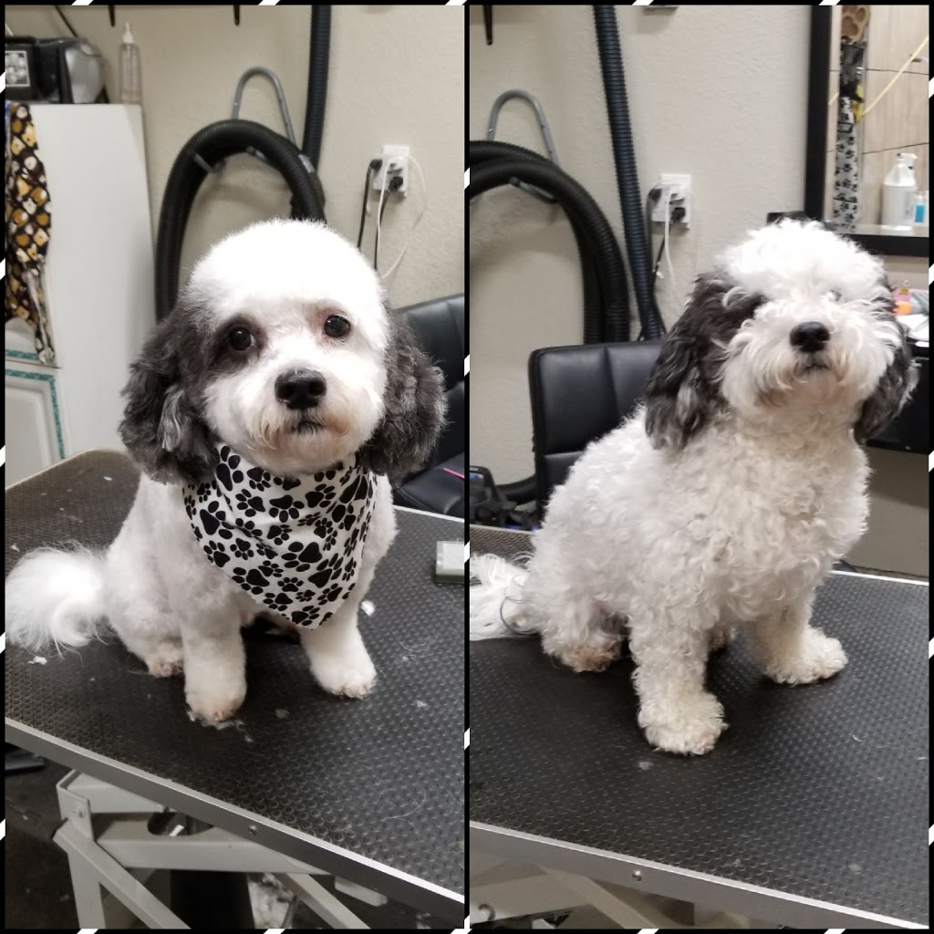 Ruff Cutz Paw Spa | 252 Young St, Alliston, ON L9R 1V1, Canada | Phone: (705) 434-8567