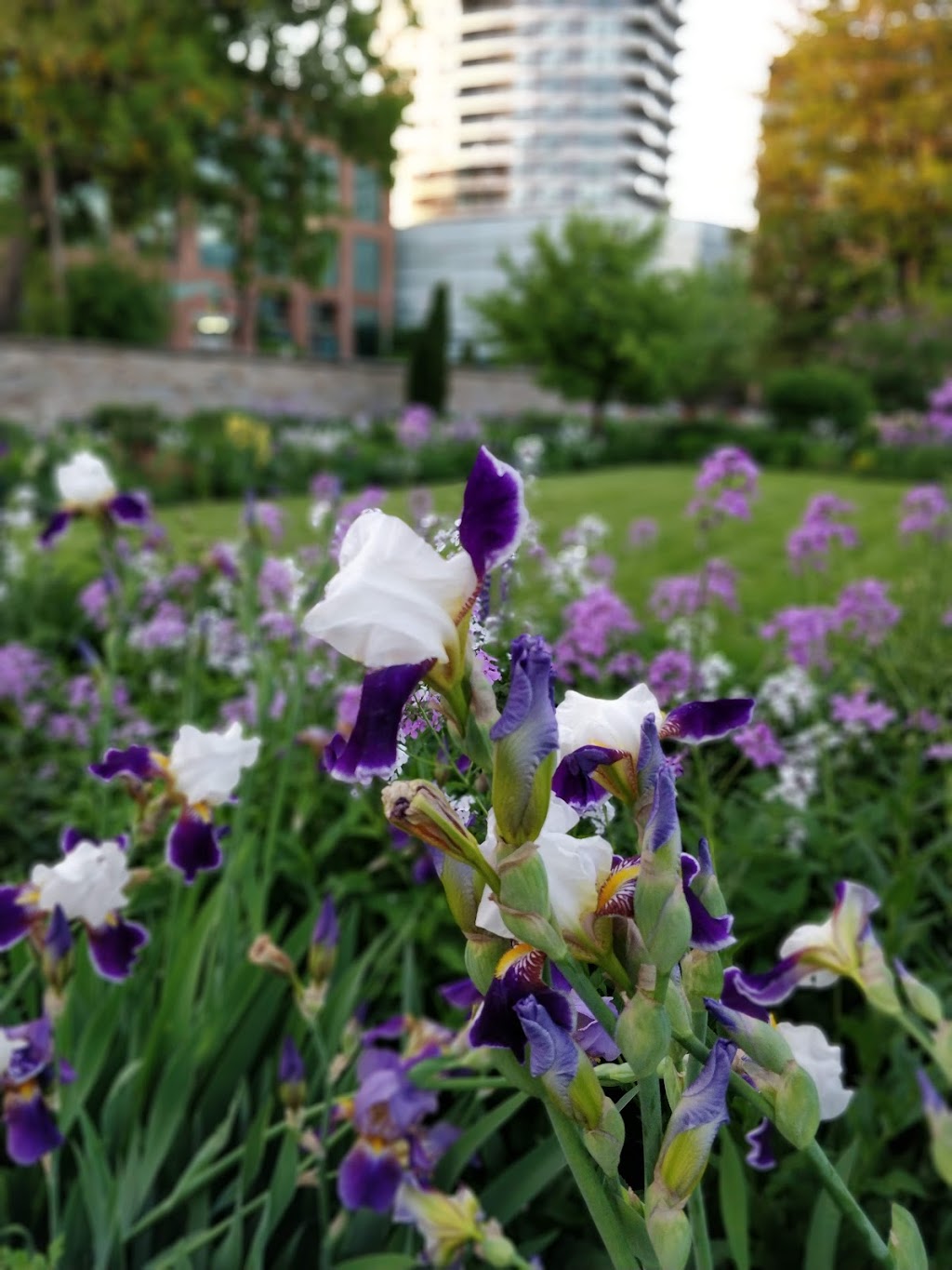 Maplelawn Garden | 497-529 Richmond Rd, Ottawa, ON K2A 0G3, Canada | Phone: (800) 465-1867