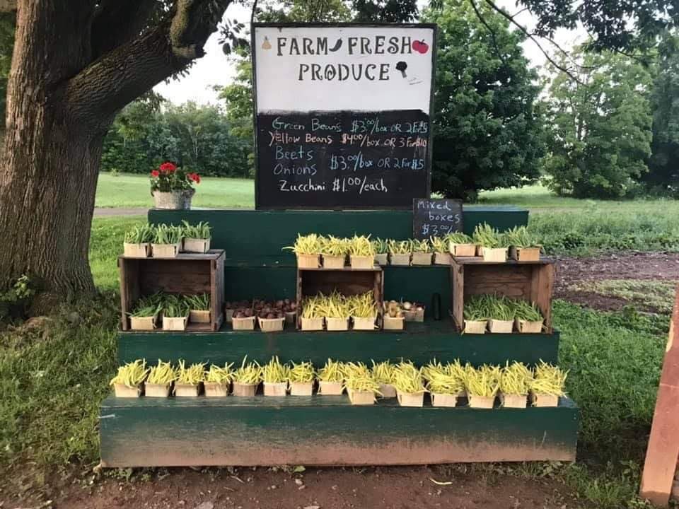 Graceway Farm | 6625 Aylesford Rd, Aylesford, NS B0P 1C0, Canada | Phone: (902) 847-1206