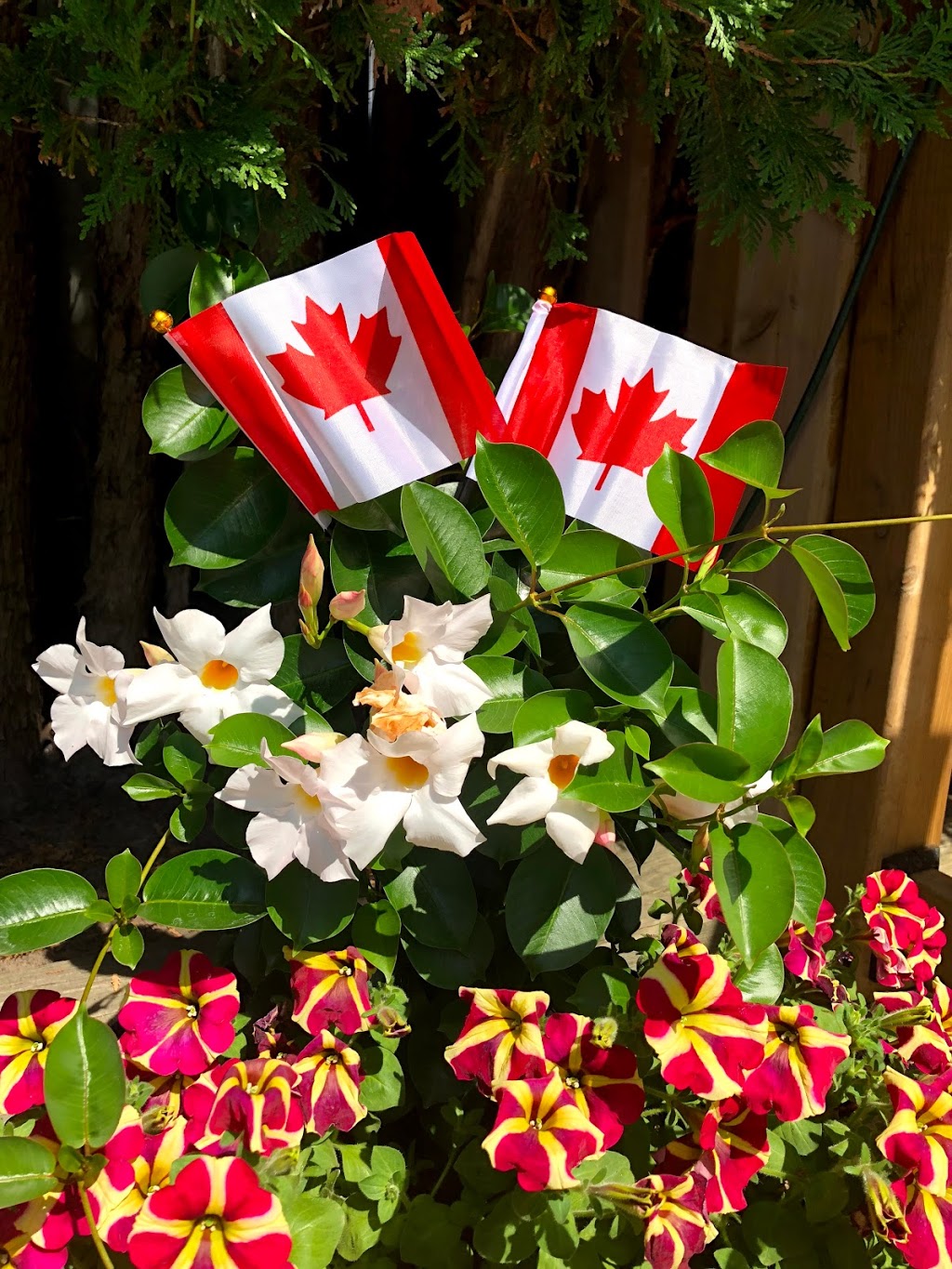 iTrim4U | 5 Carlow Ct, Whitby, ON L1N 2T6, Canada | Phone: (905) 259-5138