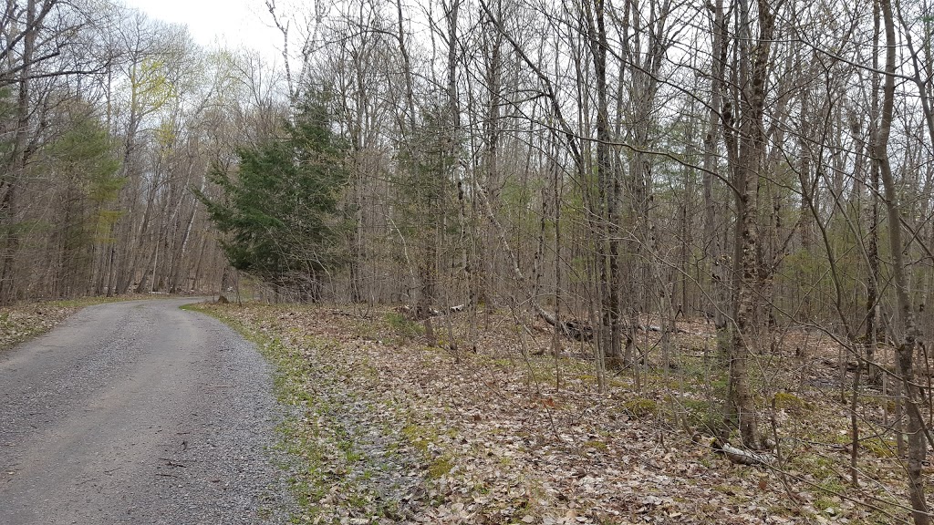 Sparrow Lake Camp | 1437 United Church Camp Line, Severn Bridge, ON P0E 1N0, Canada | Phone: (905) 527-2135
