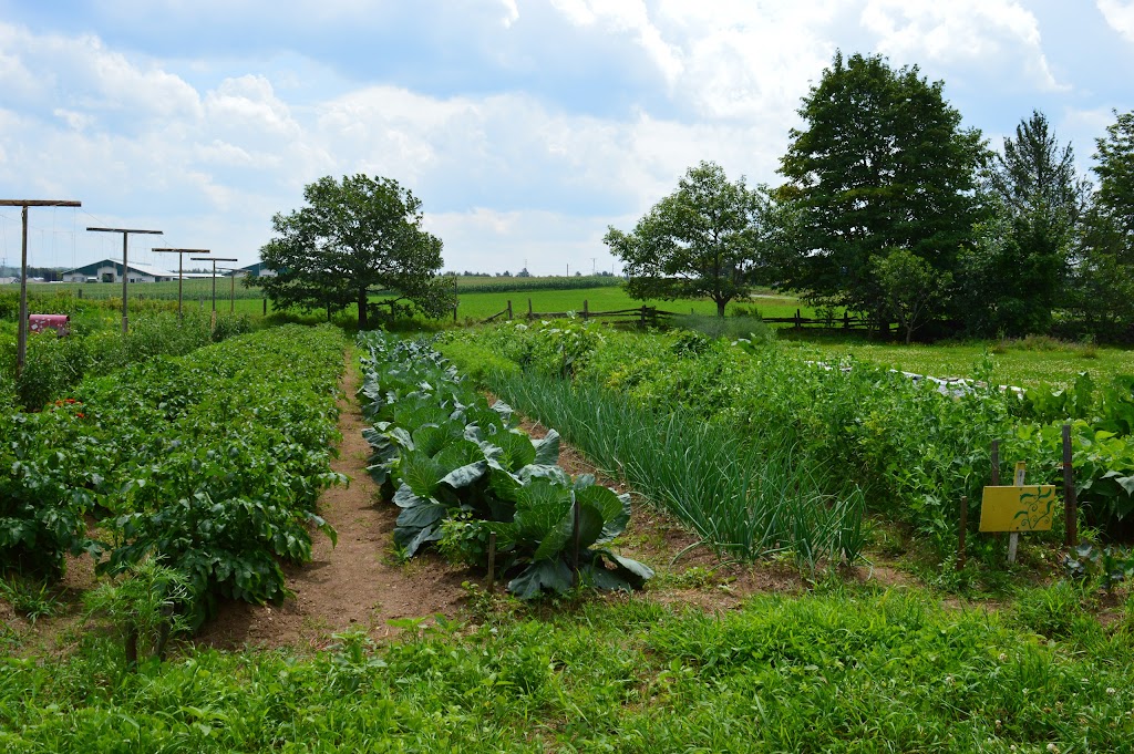 Ferme Pédagogique Marichel Inc | 809 Rang Bois Franc, Sainte-Agathe-de-Lotbinière, QC G0S 2A0, Canada | Phone: (418) 599-2949
