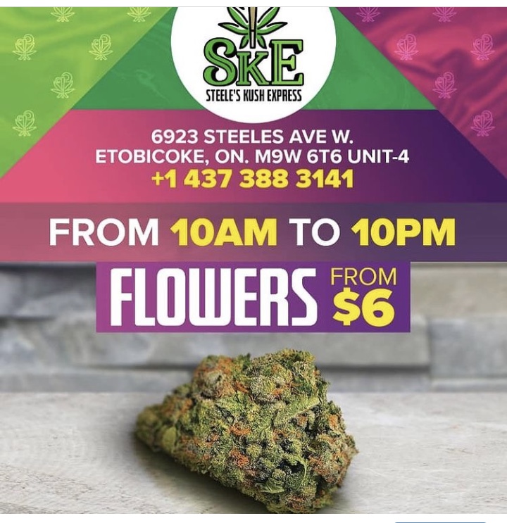Steele’s Kush Express | 6923 Steeles Ave W, Etobicoke, ON M9W 6T6, Canada | Phone: (437) 388-3141