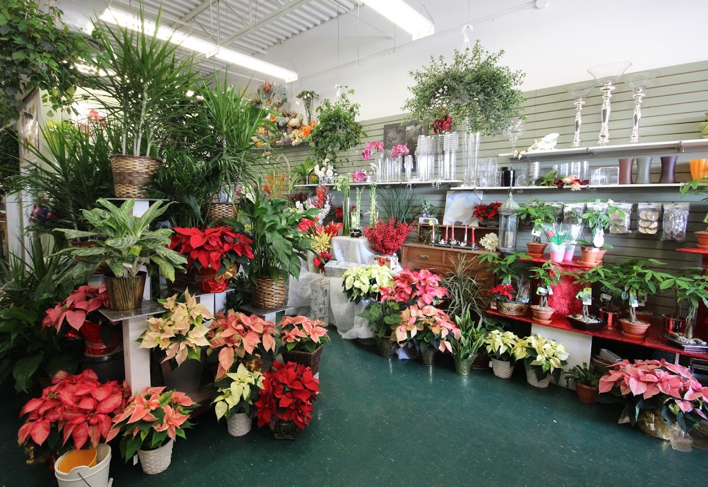 Talisman Flowers | 471 Hazeldean Rd, Kanata, ON K2L 4B8, Canada | Phone: (613) 831-3939