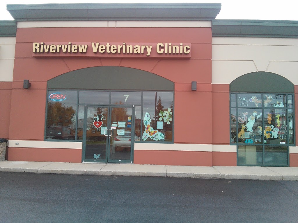 Riverview Veterinary Clinic | 102 Erie St S, Devon, AB T9G 2J4, Canada | Phone: (780) 987-4838