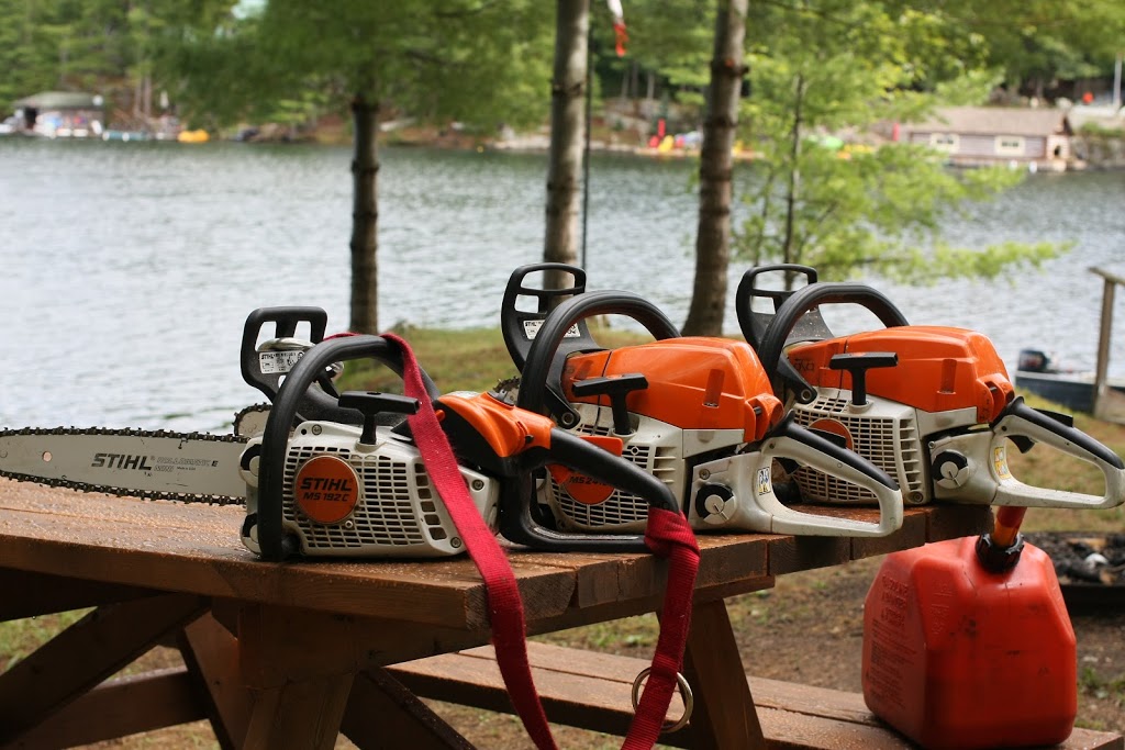 DLG Tree Service | 2886 Penetanguishene Rd, Springwater, ON L9X 1Z7, Canada | Phone: (705) 728-9369